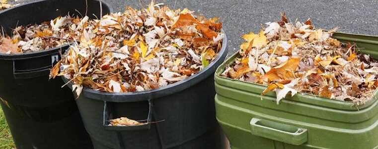 Helpful Tips on How to Get Rid of Yard Waste or Junk 