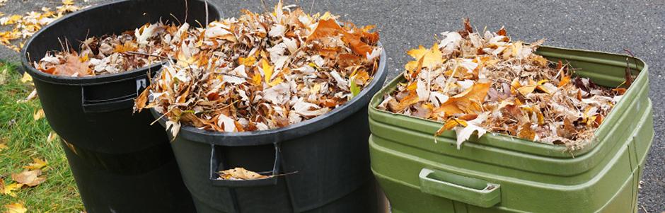 Helpful Tips on How to Get Rid of Yard Waste or Junk 