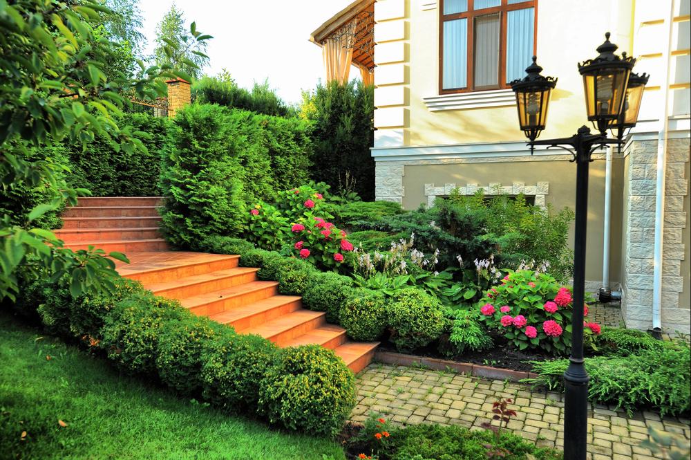 Expert Residential Landscaping Services in Redmond, WA