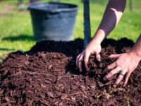 Garden for Mulch Delivery