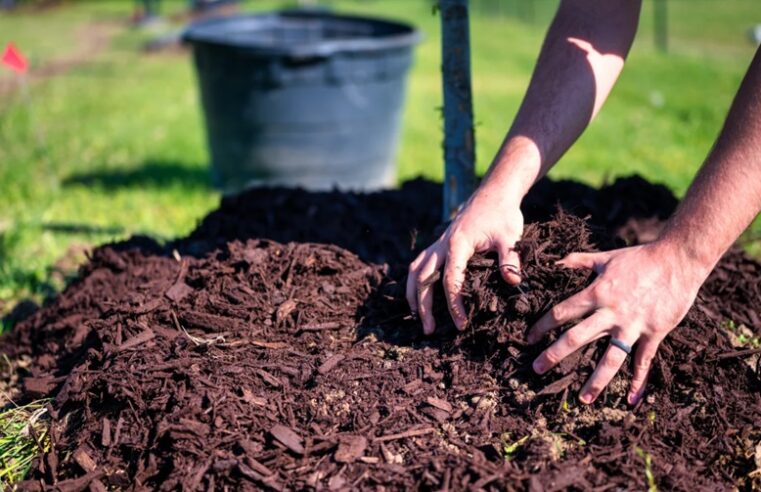 Preparing Your Garden for Mulch Delivery: What You Need to Know