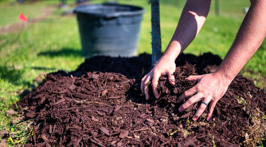 Preparing Your Garden for Mulch Delivery: What You Need to Know