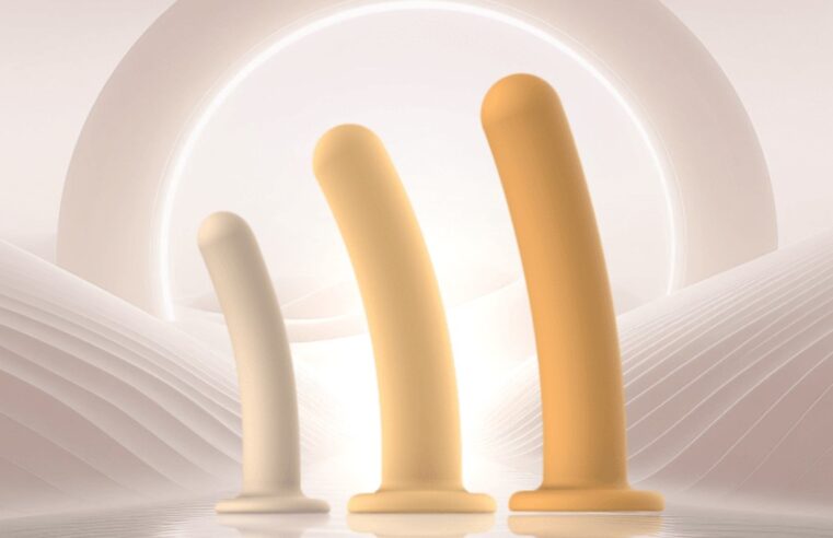 Dildo Toys for Every Desire—Your Guide to Unmatched Sensations